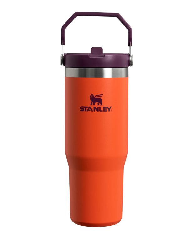 Classic Iceflow Flip Straw Tumbler 0.89l Tigerlily Plum 01